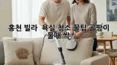 홍천 빌라 🏡 욕실 청소 꿀팁! 곰팡이 물때 싹! ✨
