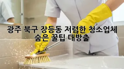 광주 북구 장등동 저렴한 청소업체 ✨ 숨은 꿀팁 대방출!