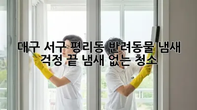 대구 서구 평리동 반려동물 냄새, 걱정 끝! 냄새 없는 청소
