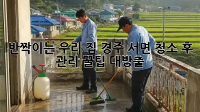 반짝이는 우리 집✨ 경주 서면 청소 후 관리 꿀팁 대방출!