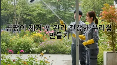 곰팡이 제거 후 관리: 건강한 우리집 만들기