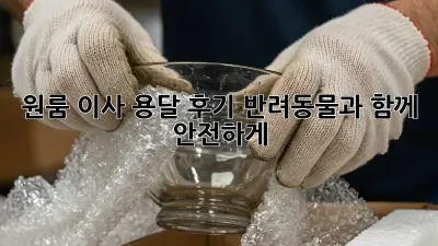 원룸 이사 용달 후기: 반려동물과 함께 안전하게!