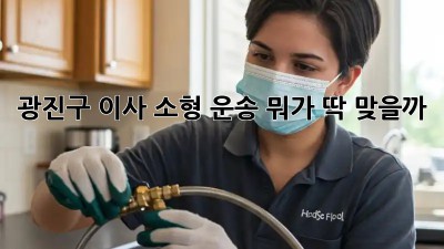 광진구 이사🚚 소형 운송, 뭐가 딱 맞을까? 🤔