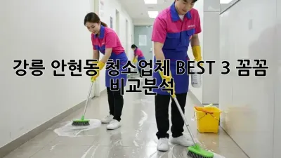 강릉 안현동 청소업체 BEST 3: 꼼꼼 비교분석