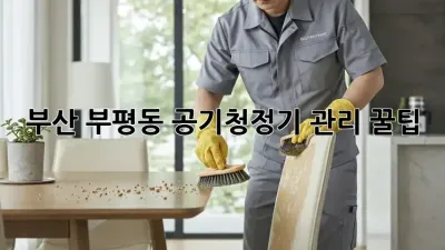 부산 부평동 공기청정기 관리 꿀팁 💨✨