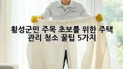 🏡 횡성군민 주목! 초보를 위한 주택 관리 청소 꿀팁 5가지 ✨