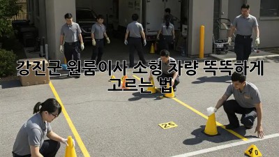 강진군 원룸이사🚚 소형 차량 똑똑하게 고르는 법✨