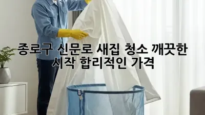 종로구 신문로 새집 청소: 깨끗한 시작, 합리적인 가격