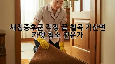 새집증후군 걱정 끝! 칠곡 기산면 카펫 청소 전문가