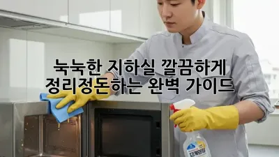 눅눅한 지하실? 깔끔하게 정리정돈하는 완벽 가이드!