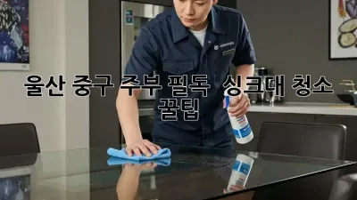 울산 중구 주부 필독! ✨ 싱크대 청소 꿀팁 🍯