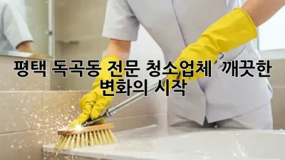 평택 독곡동 전문 청소업체 ✨ 깨끗한 변화의 시작!