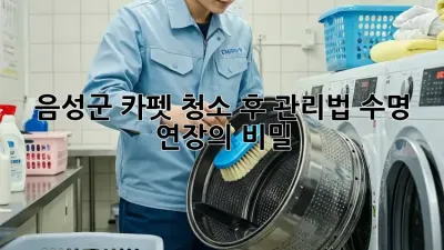 음성군 카펫 청소 후 관리법: 수명 연장의 비밀