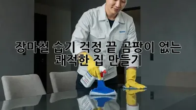 장마철 습기 걱정 끝! 곰팡이 없는 쾌적한 집 만들기
