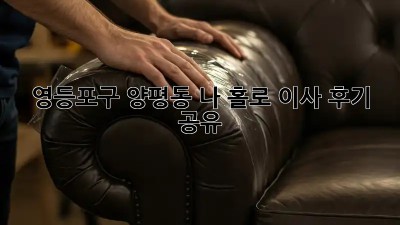 📦 #영등포구 #양평동 나 홀로 이사 후기 공유 🚚