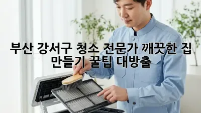 부산 강서구 청소 전문가✨ 깨끗한 집 만들기 꿀팁 대방출!