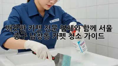깨끗한 카펫, 전문 업체와 함께! 서울 중구 남창동 카펫 청소 가이드