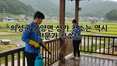 의성군 봉양면 상가 청소는 역시! 전문가 청소팀 ✨