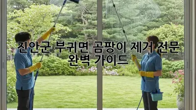 진안군 부귀면 곰팡이 제거 전문: 완벽 가이드