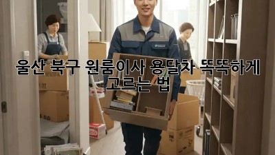 울산 북구 원룸이사🚚 용달차 똑똑하게 고르는 법✨