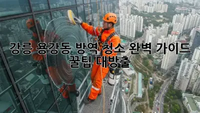 강릉 용강동 방역 청소🚨 완벽 가이드: 꿀팁 대방출🍯