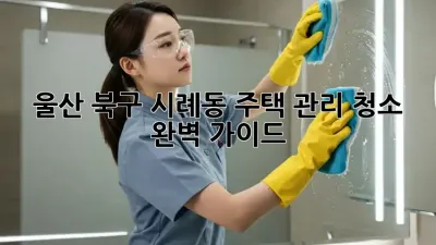울산 북구 시례동 주택 관리 청소 완벽 가이드