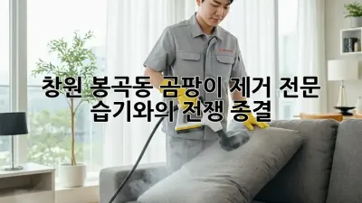 🏠 창원 봉곡동 곰팡이 제거 전문, 습기와의 전쟁 종결! 🛡️