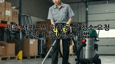 제주 서귀포시 하효동 급 청소 요청? 주말 1시간 청소 마법!