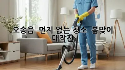 오송읍 🏡 먼지 없는 청소 ✨ 봄맞이 대작전!