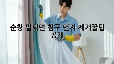 순창 팔덕면 침구 먼지 제거🧹꿀팁 공개! ✨
