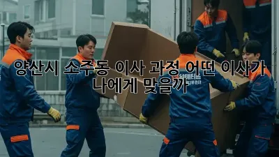 양산시 소주동 이사 과정: 어떤 이사가 나에게 맞을까?