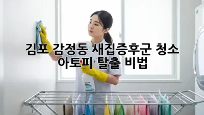 김포 감정동🏡 새집증후군 청소, 아토피 탈출 비법!✨