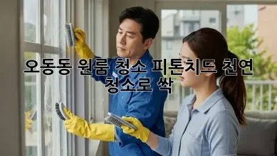 오동동 원룸 청소, ✨피톤치드 천연 청소로 싹!🌿