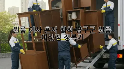 원룸 이사, 혼자 척척! 양구군 원룸 이삿짐 정복기