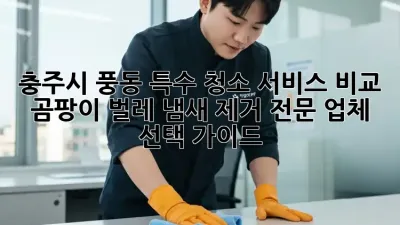충주시 풍동 특수 청소 서비스 비교: 곰팡이, 벌레, 냄새 제거 전문 업체 선택 가이드