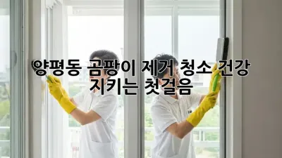 🏡 양평동 곰팡이 제거 청소, 건강 지키는 첫걸음! 💨