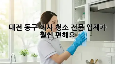 대전 동구 이사 청소, 전문 업체가 훨씬 편해요!
