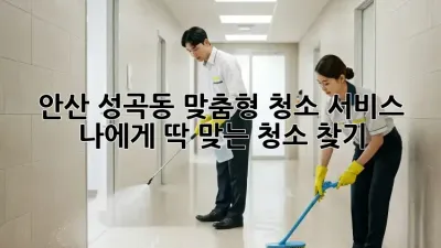 안산 성곡동 맞춤형 청소 서비스: 나에게 딱 맞는 청소 찾기