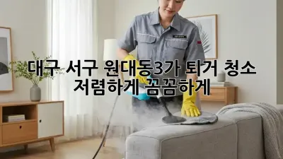 대구 서구 원대동3가 퇴거 청소: 저렴하게, 꼼꼼하게!