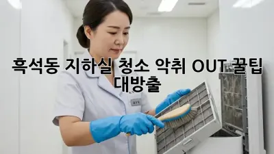 흑석동 지하실 청소🧹 악취 OUT! 꿀팁 대방출✨