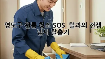 영도구 원룸 청소 SOS! 🐶🐱 털과의 전쟁, 냄새 탈출기!