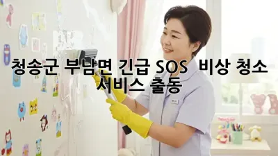 청송군 부남면 긴급 SOS! 🚨 비상 청소 서비스 출동!