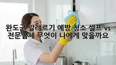 완도군 알레르기 예방 청소: 셀프 vs 전문업체, 무엇이 나에게 맞을까요?