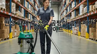 안성 화재 후 청소: 곰팡이, 습기 제거 완벽 가이드