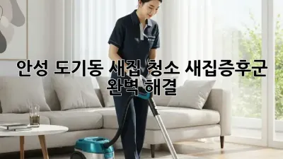 안성 도기동 새집 청소: 새집증후군 완벽 해결!