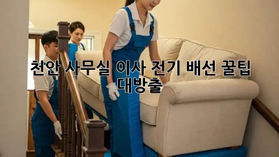 천안 사무실 이사, 전기 배선 꿀팁 대방출! 💡
