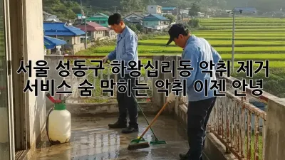 서울 성동구 하왕십리동 악취 제거 서비스: 숨 막히는 악취, 이젠 안녕!