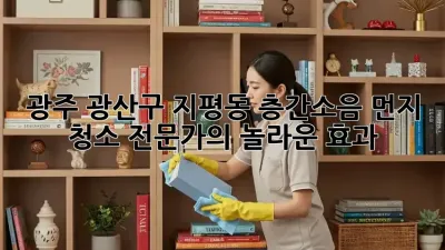 광주 광산구 지평동 층간소음 먼지 청소: 전문가의 놀라운 효과!