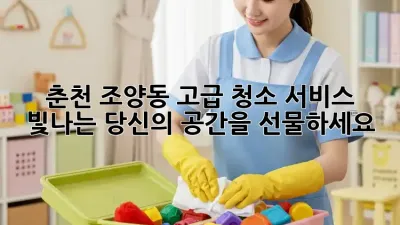 춘천 조양동 고급 청소 서비스: 빛나는 당신의 공간을 선물하세요 ✨