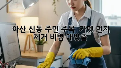 아산 신동 주민 주목! 🏠 카펫 먼지 제거 비법 대방출! 💨